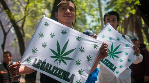 López Obrador da el primer paso para legalizar la marihuana en México
