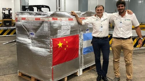 Entre Ríos protagoniza el primer embarque de arándanos argentinos frescos a China