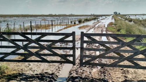 Las inundaciones amenazan la cosecha récord que proyectó el Gobierno Las inundaciones amenazan la cosecha récord que proyectó el Gobierno