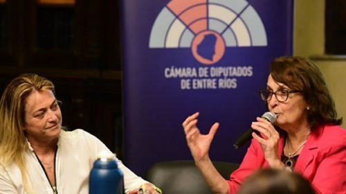 Diputadas y funcionarias del CGE trataron el proyecto que plantea el derecho del estudiantado a recibir educación sexual