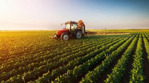 “Mal momento” para la inversión agropecuaria