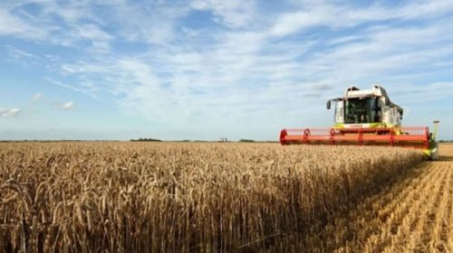 El Gobierno prevé una campaña agrícola récord de 140 millones de toneladas El Gobierno prevé una campaña agrícola récord de 140 millones de toneladas