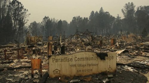 Incendios en California: 82 muertos y más de 1000 desaparecidos Incendios en California: 82 muertos y más de 1000 desaparecidos
