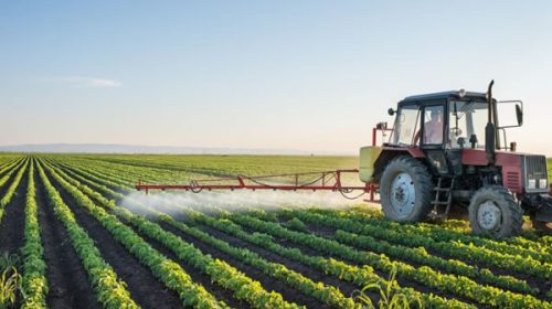 Fumigaciones: el STJ dice que el fallo sigue firme