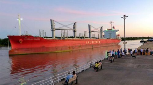 Por más de un año, Entre Ríos exportará madera a China Por más de un año, Entre Ríos exportará madera a China