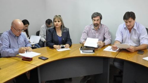 ESI: el proyecto fue analizado por la Comisión de Educación del Senado provincial