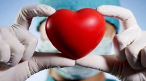 Desde la aprobación de la “Ley Justina” se duplicó la cantidad de donantes Desde la aprobación de la “Ley Justina” se duplicó la cantidad de donantes