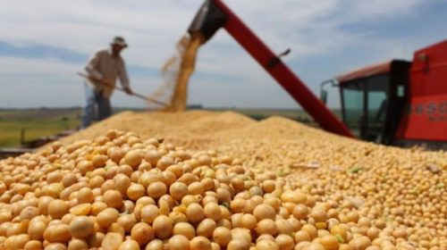 Exportadores de granos se apuran a declarar ventas antes de cambios en las retenciones