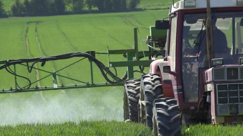 El Gobierno presentó un recurso extraordinario contra la prohibición de fumigar