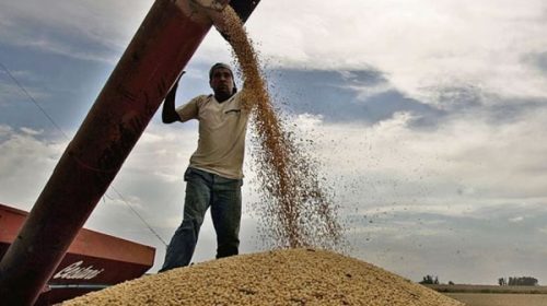 Advierten que no será “favorable” contexto externo para Argentina en 2019