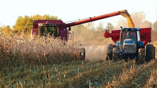 La liquidación de agrodólares cayó un 38 por ciento