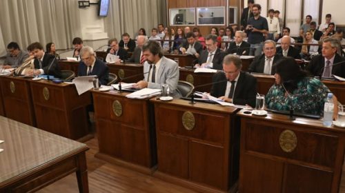 El Ejecutivo envió al Senado un proyecto para modificar la Ley de Procedimientos Constitucionales
