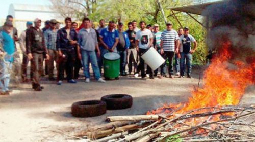 Cierra por la crisis una procesadora de harinas