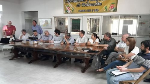 Provincia, municipios y entidades trabajan en la problemática del HLB en área urbana Provincia, municipios y entidades trabajan en la problemática del HLB en área urbana
