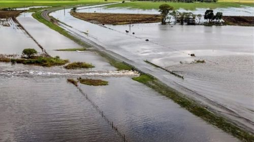 Miles de evacuados y pérdidas millonarias: las cifras de las inundaciones