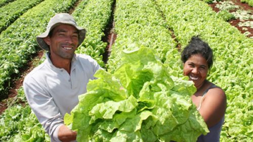 Una resolución de la ONU defiende los beneficios de la agricultura familiar