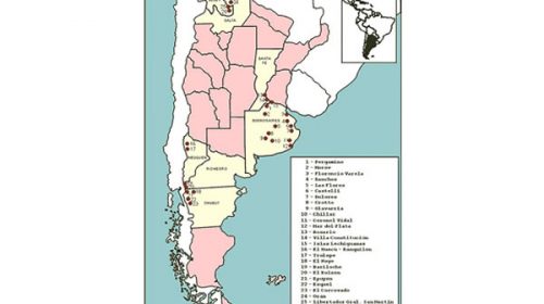 Brote de hantavirus en la Argentina: la situación actual y las recomendaciones de los expertos Brote de hantavirus en la Argentina: la situación actual y las recomendaciones de los expertos