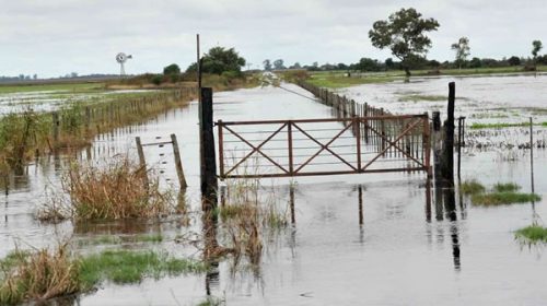 Se estiman pérdidas por U$S 40 millones por las inundaciones en los campos