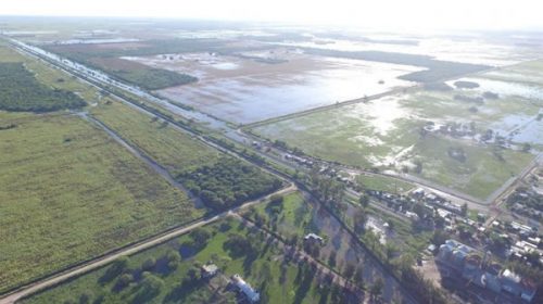 La continuidad de las lluvias pone en jaque la cosecha récord de soja