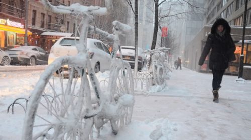 Furia blanca en Estados Unidos: la nieve causa estragos
