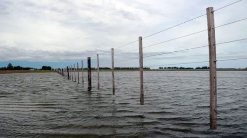 Inundaciones: declaran la emergencia hídrica por 180 días