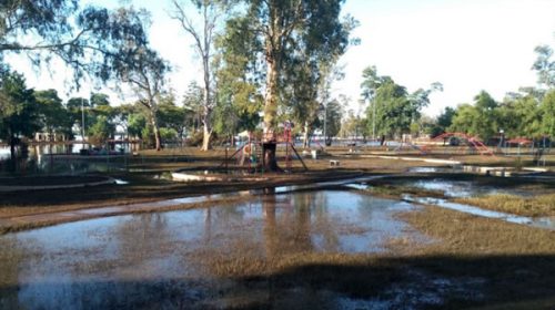 El río Uruguay vuelve a su cauce