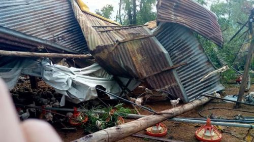 Fuerte temporal generó gravísimos daños en el sur entrerriano