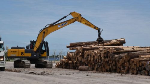 Comenzó a operar el Puerto de Ibicuy con el acopio de madera para exportar a China