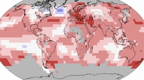Alarmante: en el 2018 se rompieron varios récords de calor