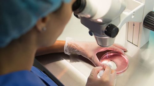 En 2018 se hicieron en Entre Ríos 130 tratamientos de fertilización asistida