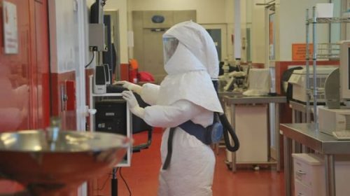 Hantavirus: confirman que hubo contagio persona a persona en Epuyén