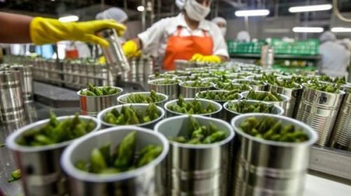 Oficializan la reducción de cargas patronales, cuestionada por los productores