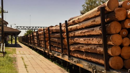 Con los puertos entrerrianos operativos, se reactiva el ferrocarril de carga