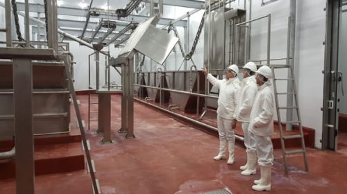 Avanzan las gestiones de frigorífico entrerriano para exportar carne a China