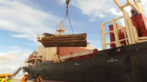 Nuevo embarque desde el Puerto de Ibicuy