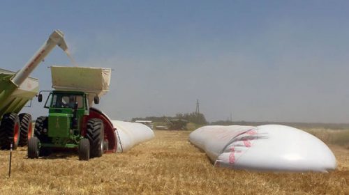 Dudan de que el campo ayude a reactivar la economía