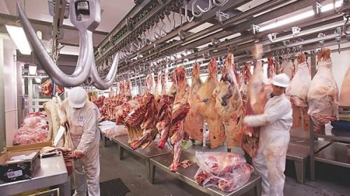 El Gobierno abre el registro para exportar 15.000 toneladas de carne hacia los EE.UU.