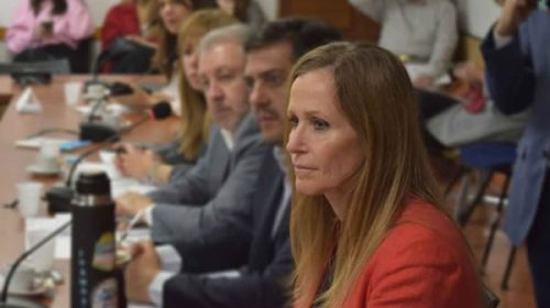 La diputada Mayda Cresto presentó un proyecto para declarar la emergencia citrícola
