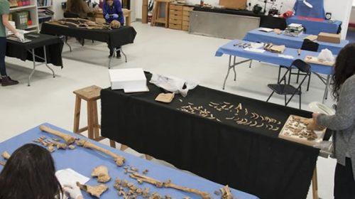 Antropólogos buscan la identidad de 600 cuerpos