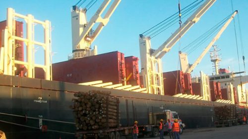 Se concretó una nueva exportación de madera desde Concepción del Uruguay