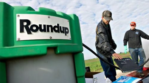 Herbicida Roundup de Monsanto contribuyó al cáncer de una persona, dijo la Justicia de EE.UU.