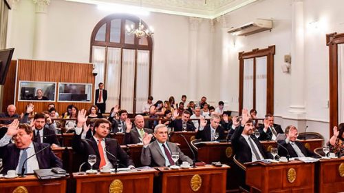 Aprueban el otorgamiento de licencia especial a quienes donen órganos