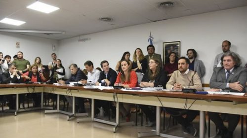 Diputados inició el debate de la ley de Góndolas y podría llegar el 8 de mayo al recinto