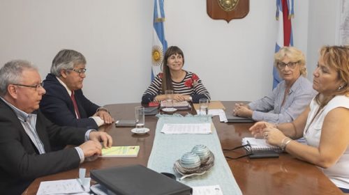 Salud, Femer y Iosper definieron medidas para evitar el ejercicio ilegal de la medicina