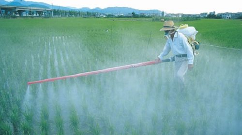 Provincias agrícolas buscan una estrategia en conjunto para hacer cambios en el Código Penal