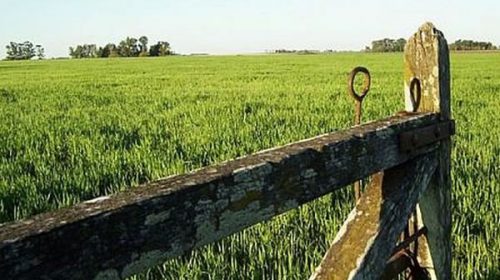 El gobierno provincial subrayó que los productores entrerrianos son los que menos tributan por hectárea agrícola