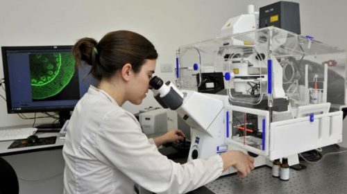 En el Día del investigador científico, se reaviva la polémica por el cupo de ingresos al Conicet