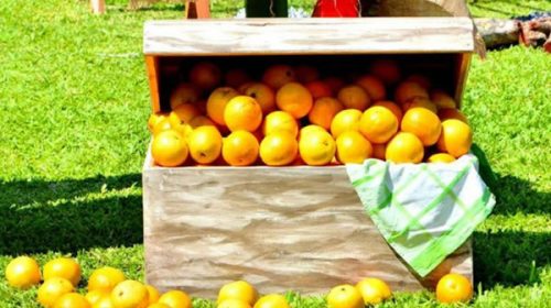 Productores de citrus van a Plaza de Mayo