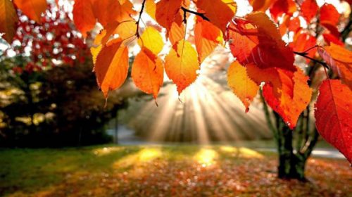 Pronostican que seguirán los días primaverales en pleno otoño