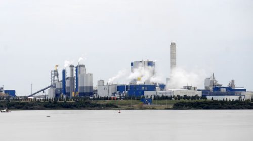 Piden el Gobierno nacional que informe si una nueva pastera se instalará frente al Río Uruguay